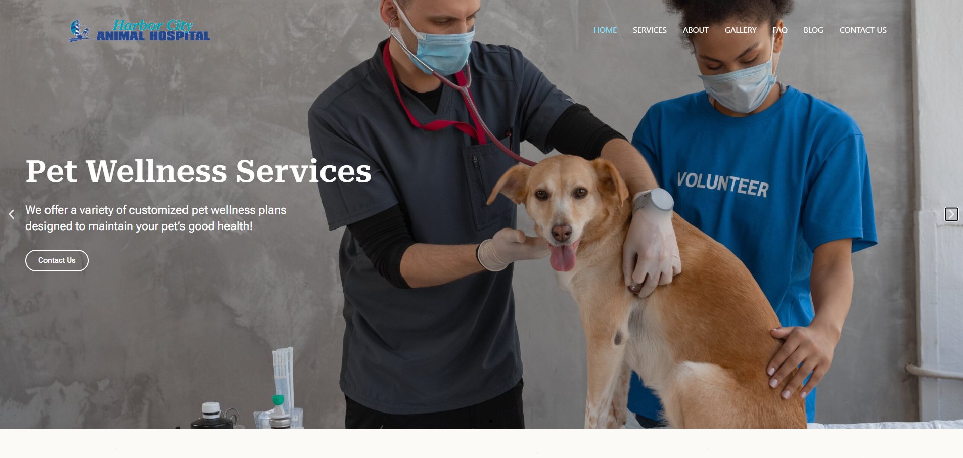 Harbor City Animal Hospital screenshot